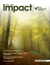 Impact February cover image