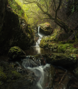 A hidden waterfall